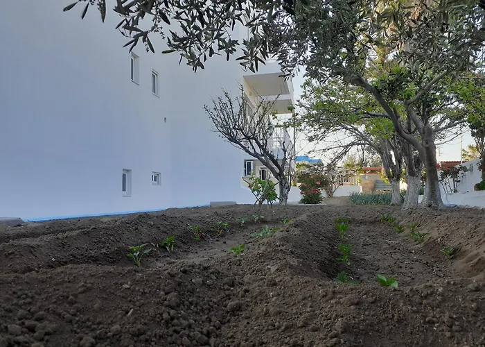 Your Second 2 شقة